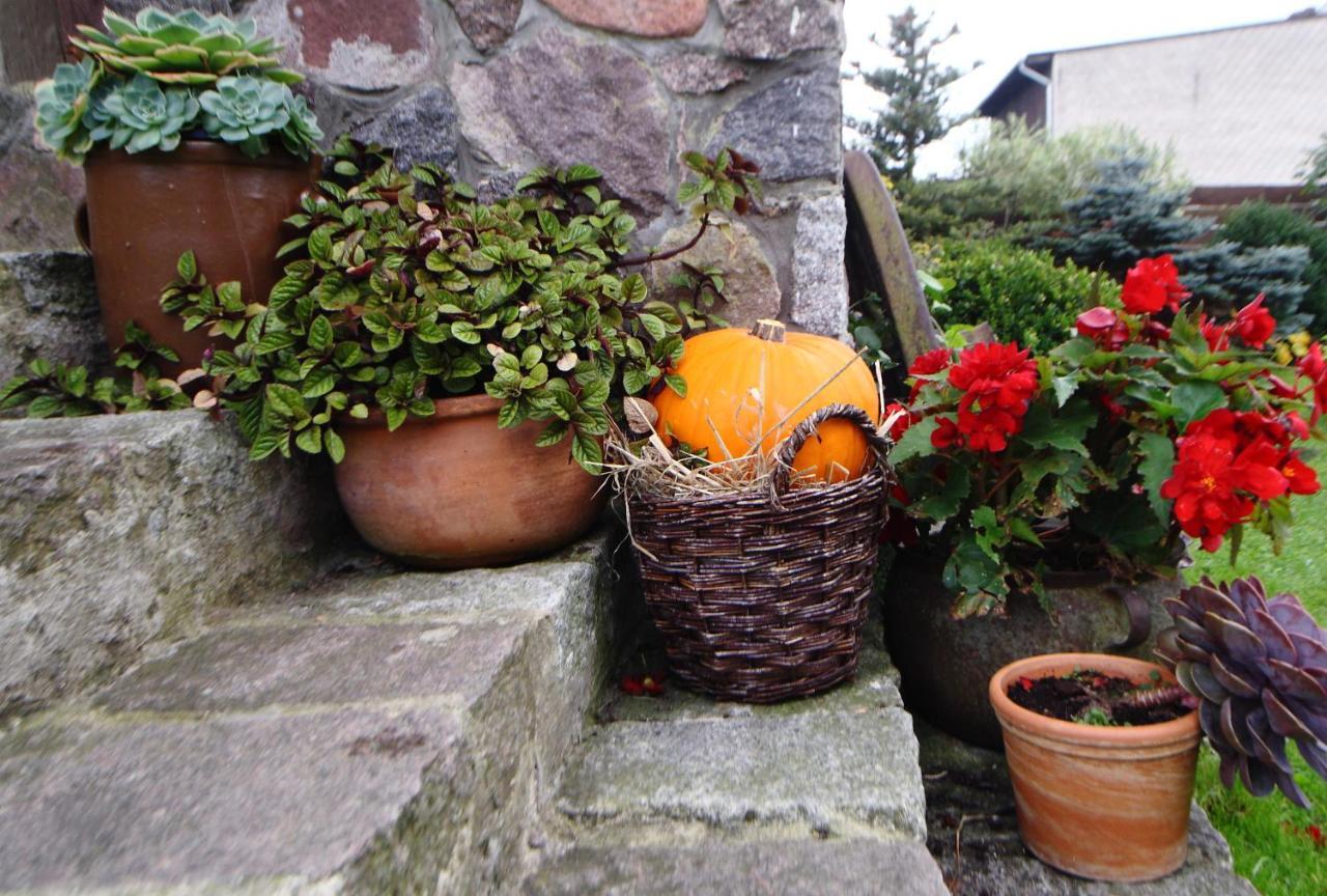 Ferienwohnung Tak Lubisz Gardna Wielka Exterior foto